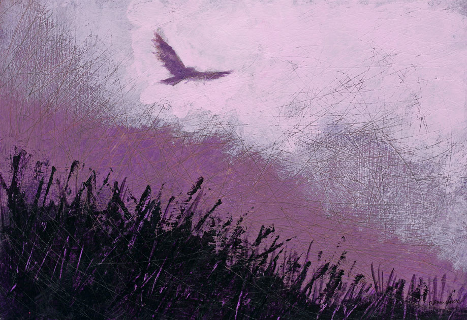 Flying Hawk 2
